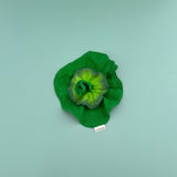 Kendall the Kale Mini Doudou-Teether - Kollektive - Official distributor