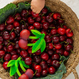 Mery the Cherry - Kollektive - Official distributor