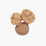 NUTTY THE NUT - Kollektive - Official distributor