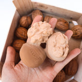 NUTTY THE NUT - Kollektive - Official distributor