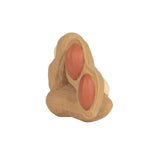 PACO THE PEANUT - Kollektive - Official distributor