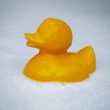 Small Ducks Monochrome Yellow - Kollektive - Official distributor
