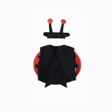 Ladybug Dress Up