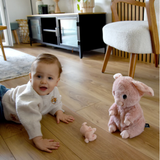 Barbekiou the Pig, Mum & Baby