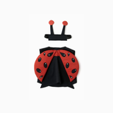 Ladybug Dress Up