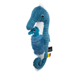 Papadpi the Seahorse, Dad & Baby - Blue