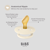Blush/Vanilla GLOW Anatomical, Latex (2pk) - Kollektive - Official distributor