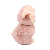 Barbekiou the Pig, Mum & Baby