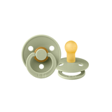 Sage Round, Latex (2pk) - Kollektive - Official distributor
