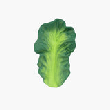 Kendall the Kale - Kollektive - Official distributor