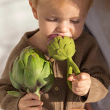 Artichoke Rattle Toy - Kollektive - Official distributor